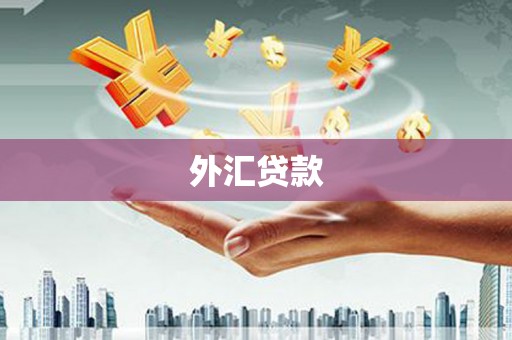 威信外汇贷款