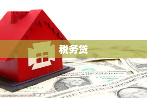 威信税务贷