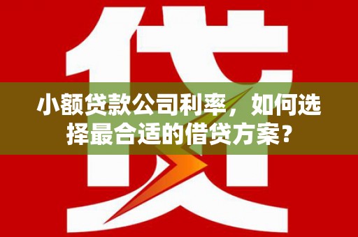 威信小额贷款公司利率，如何选择最合适的借贷方案？