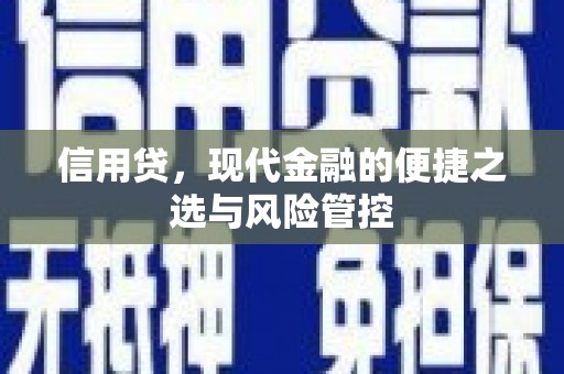 威信信用贷，现代金融的便捷之选与风险管控