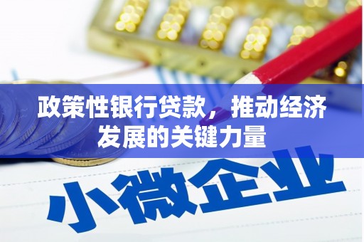 威信政策性银行贷款，推动经济发展的关键力量