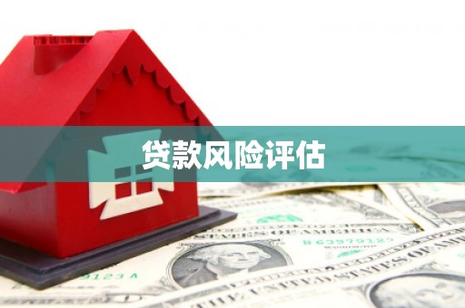 威信贷款风险评估