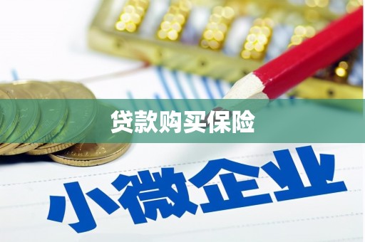 威信贷款购买保险