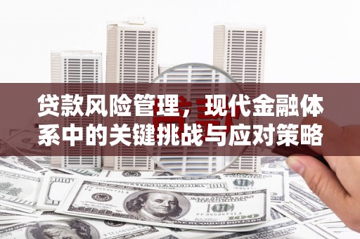 威信贷款风险管理，现代金融体系中的关键挑战与应对策略