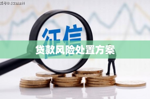 威信贷款风险处置方案